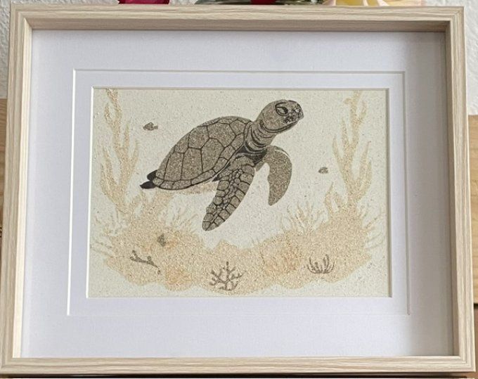 Collection "Tortue"