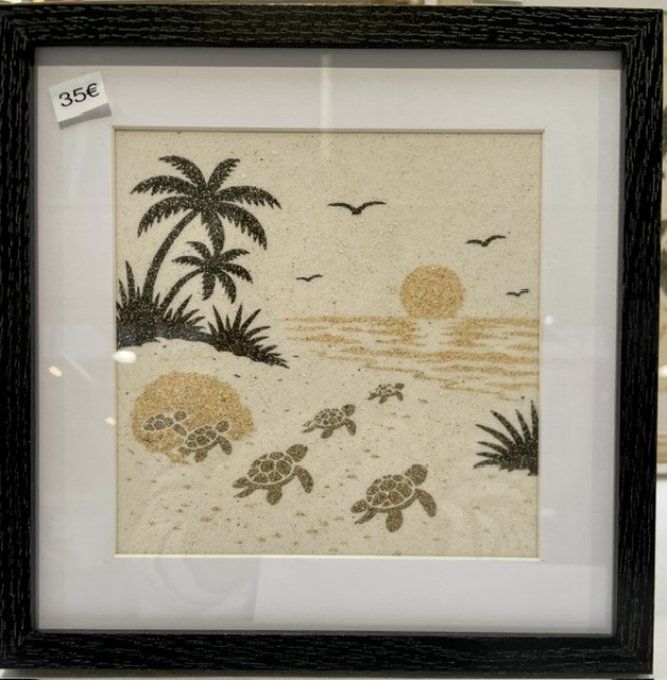 Collection "Tortue"