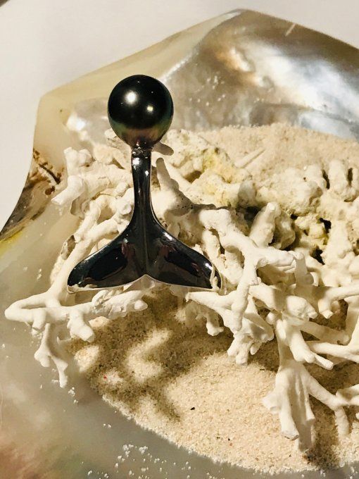 Queue de baleine et Perle de Tahiti
