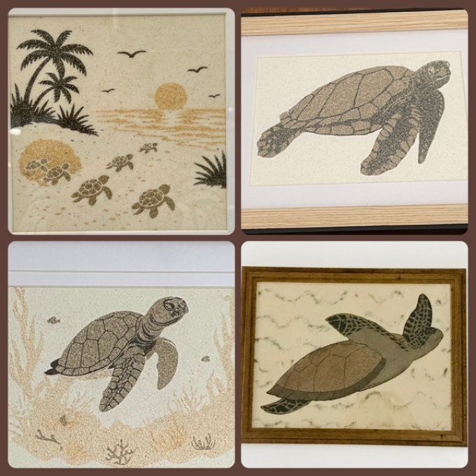 Collection "Tortue"